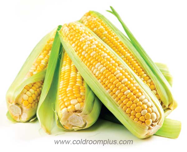 Corn