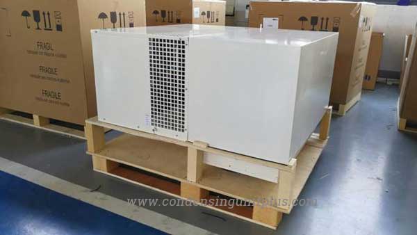 Monoblock unit package