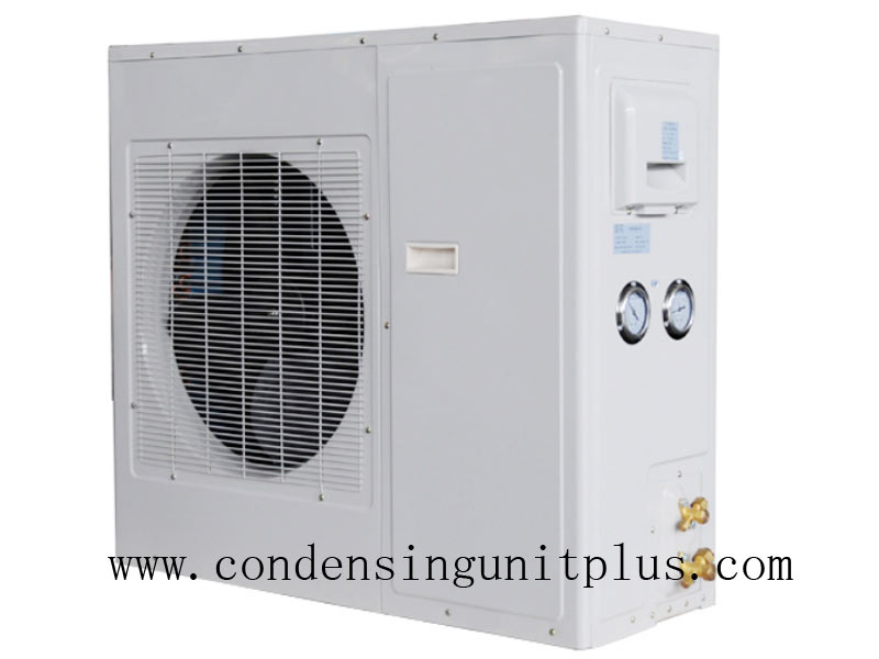 Walk in Cooler Condensing Unit