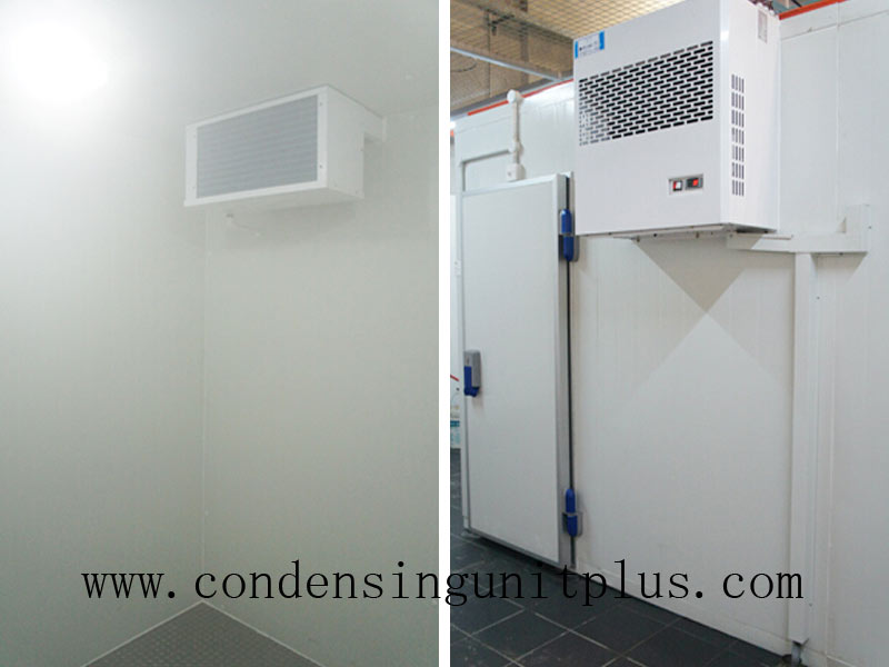 Walk in Cooler Condensing Unit