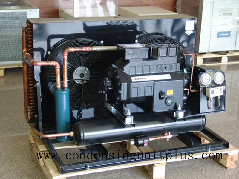 Walk in Cooler Condensing Unit