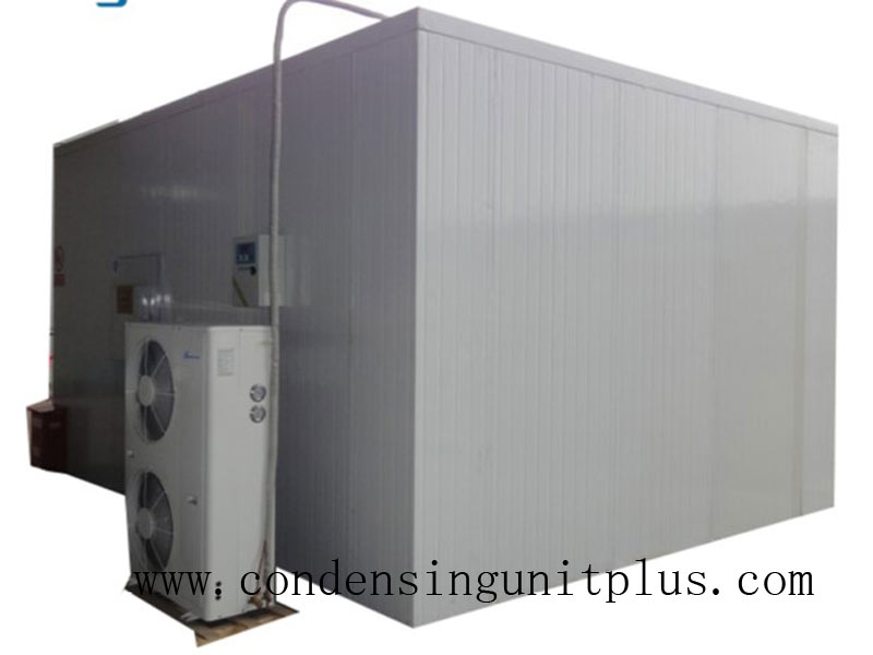 Cold Room Condensing Unit Refrigeration