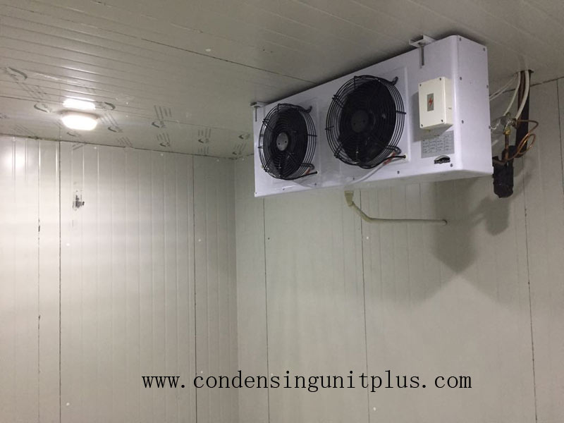 Walk Cooler Refrigeration Unit